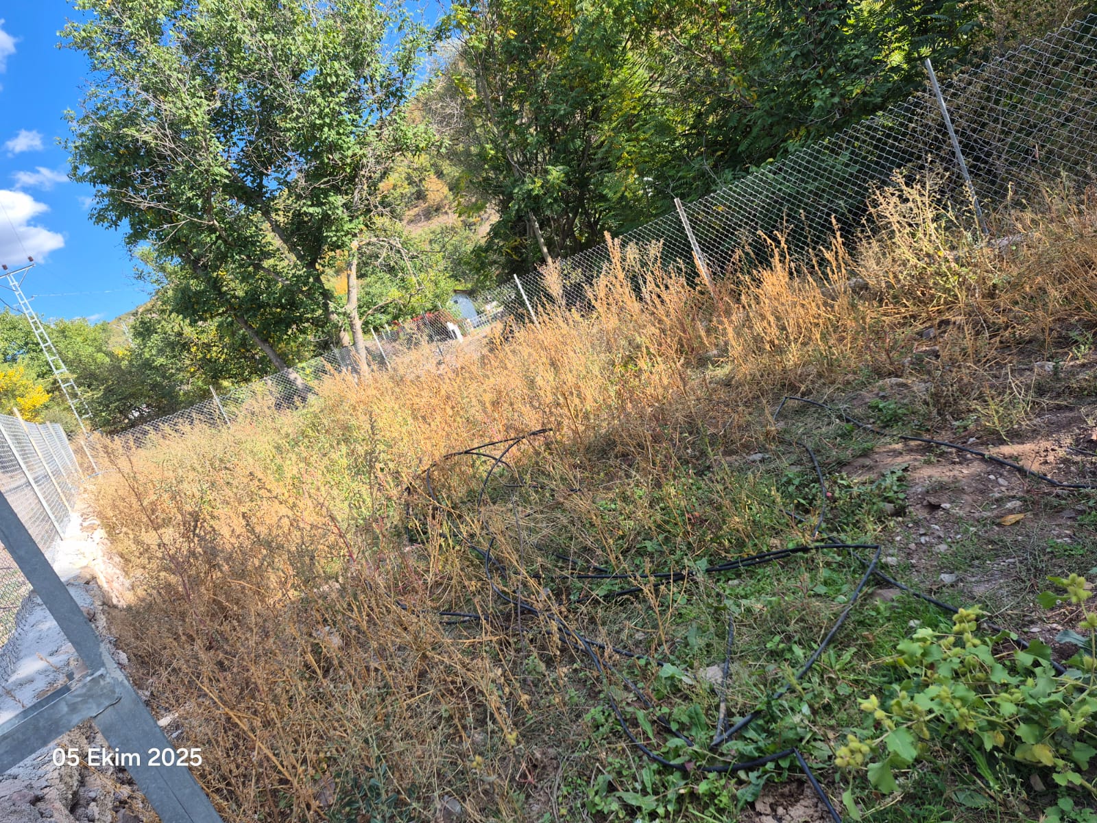 MARKA'DAN AYDINLIK KÖYÜ DUTLUK'TA SATILIK ARSA