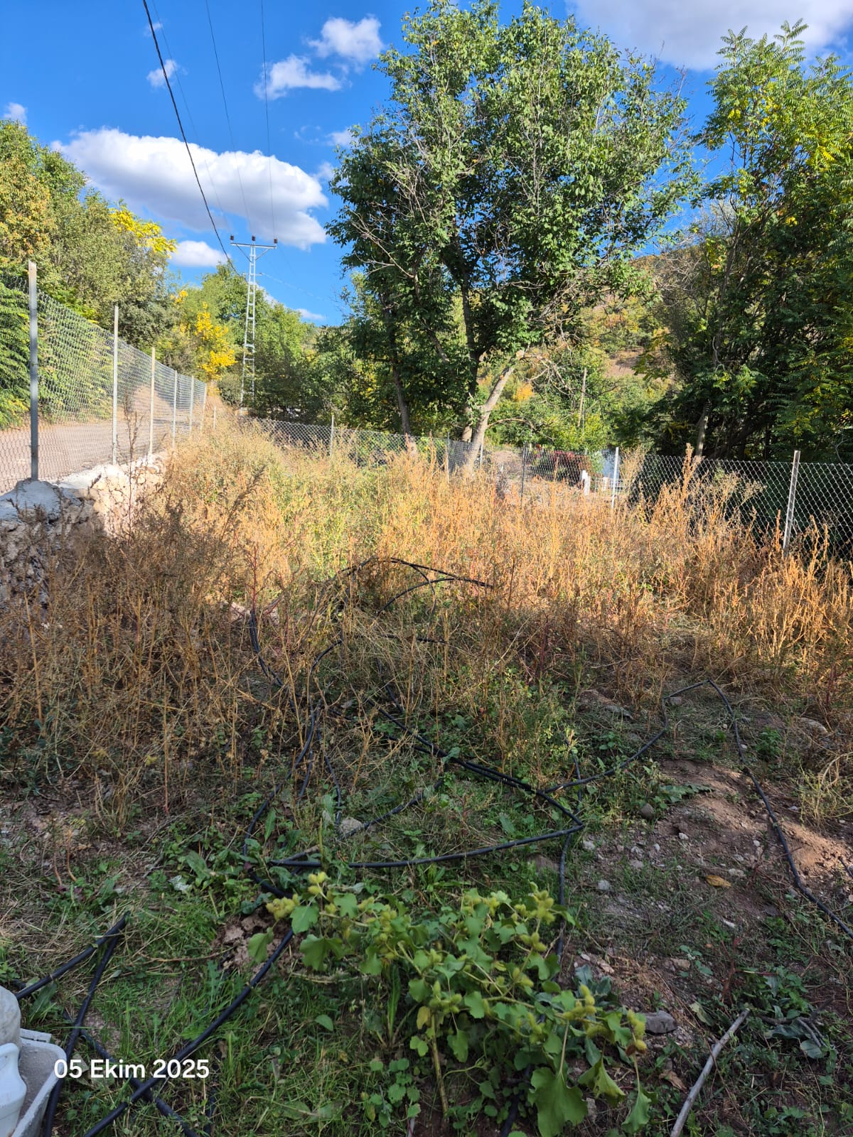 MARKA'DAN AYDINLIK KÖYÜ DUTLUK'TA SATILIK ARSA