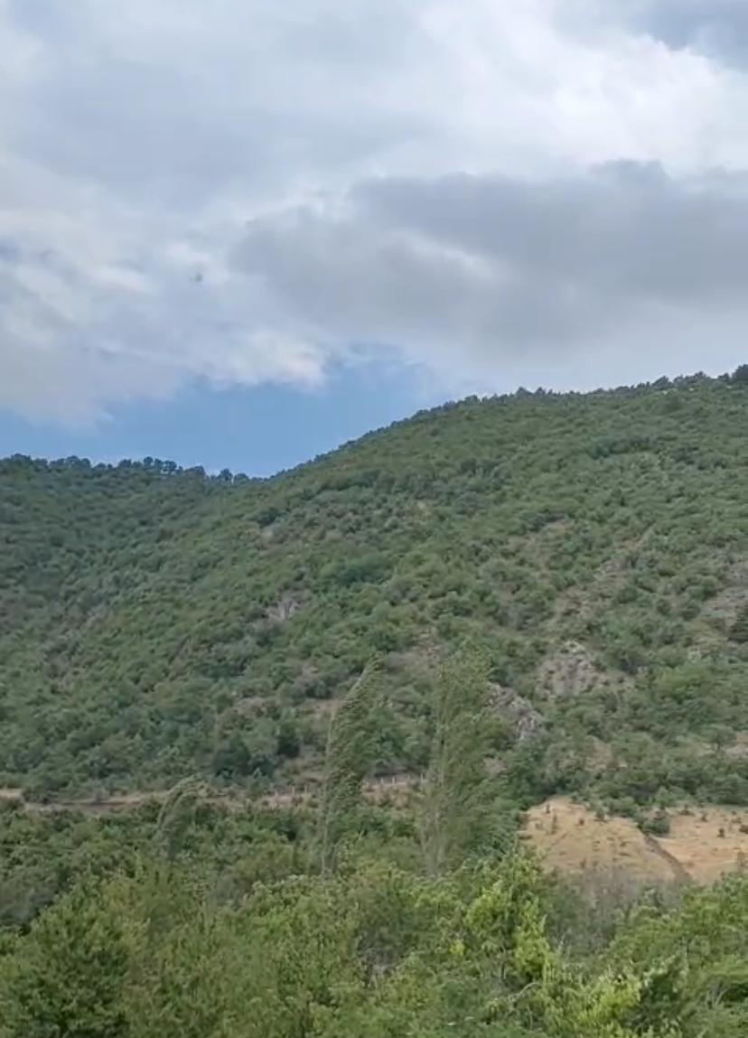 ACİL AYDINLIK KÖYÜNDE İÇİNDE EVİ MEVCUT 1.745 METREKARE SATILIK BAĞ