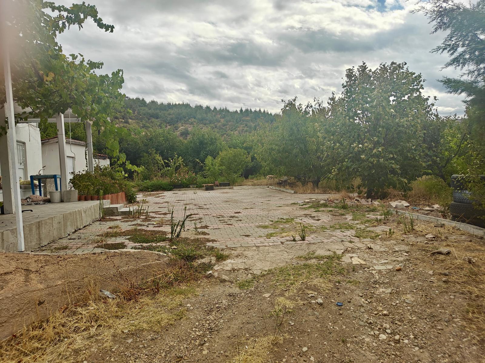 EV TAKASLI YILLIK 2.5 TON HASATLI BOĞAZKÖY DURUCADA KİRAZLIK