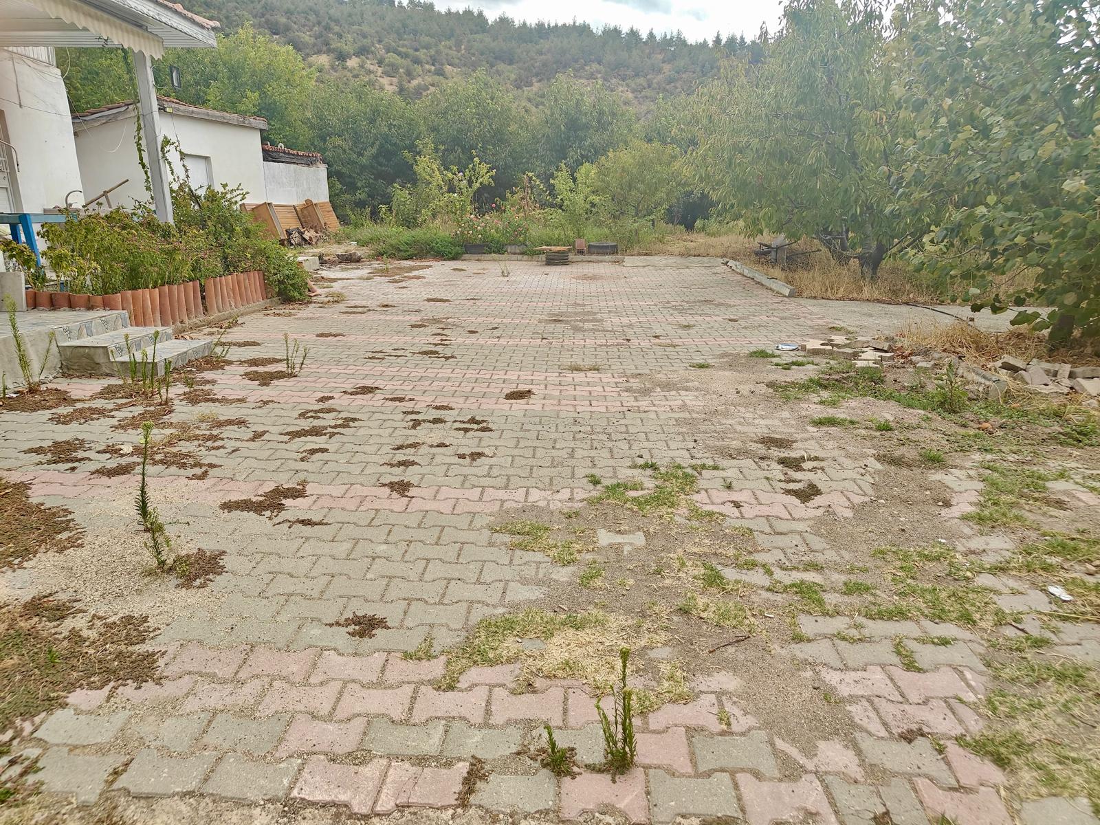 EV TAKASLI YILLIK 2.5 TON HASATLI BOĞAZKÖY DURUCADA KİRAZLIK