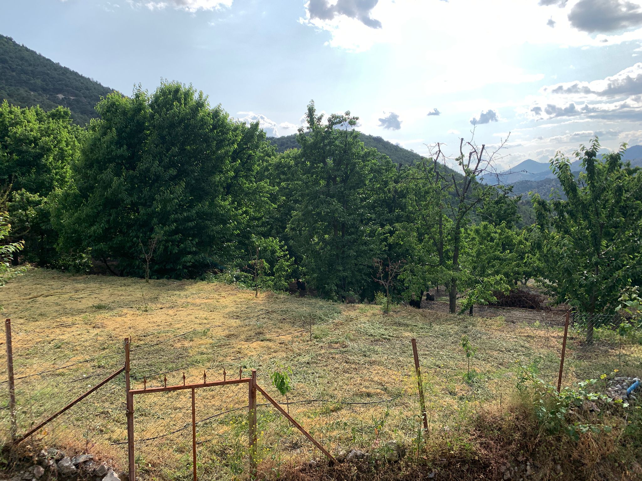 MARKA'DAN YEŞİL YENİCE KARAAĞAÇ MEVKİİ SATILIK BAHÇE