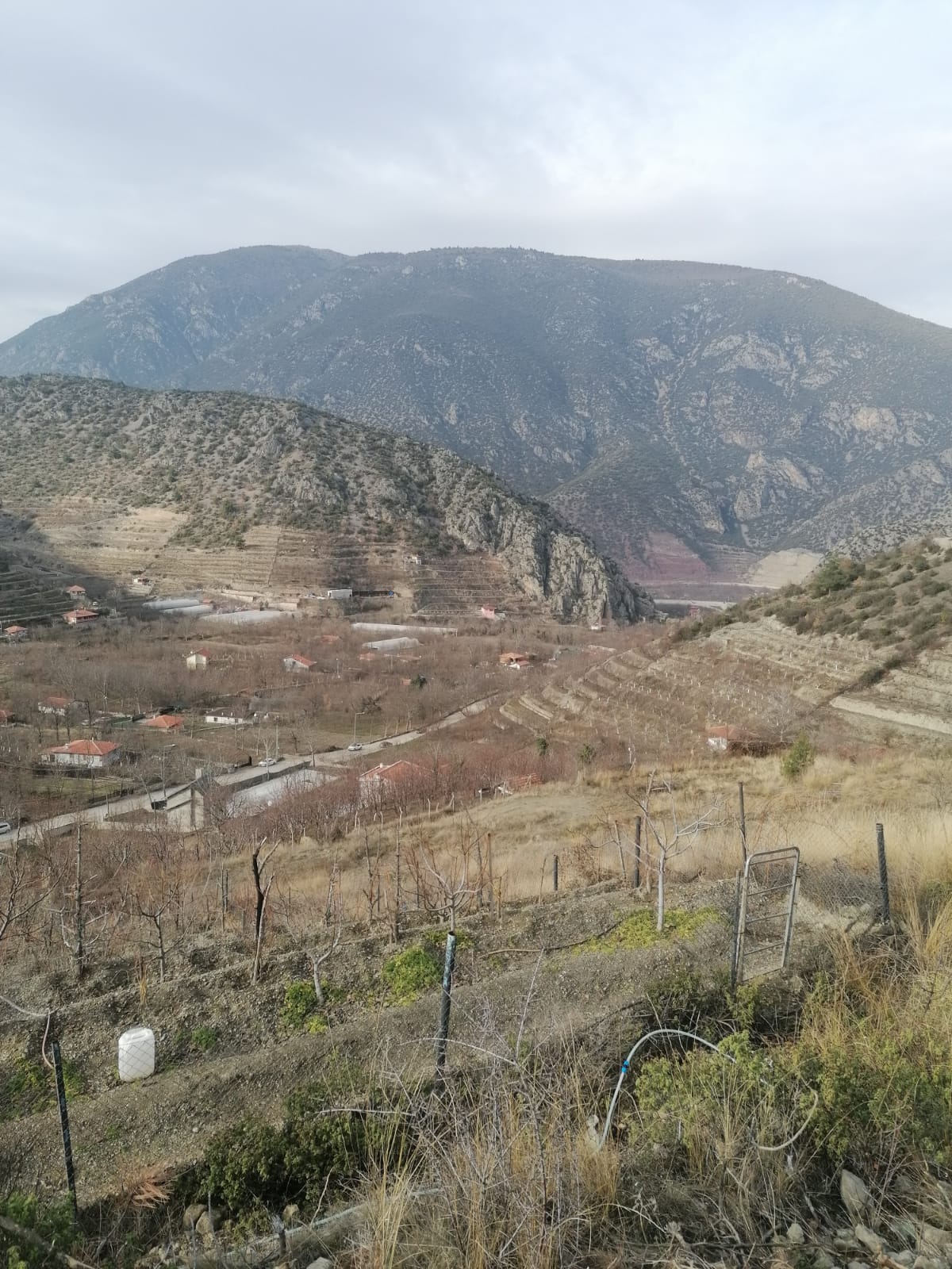 MARKA'DAN YENİCENİN EN GÜZEL YERİNDE SATILIK BAHÇE