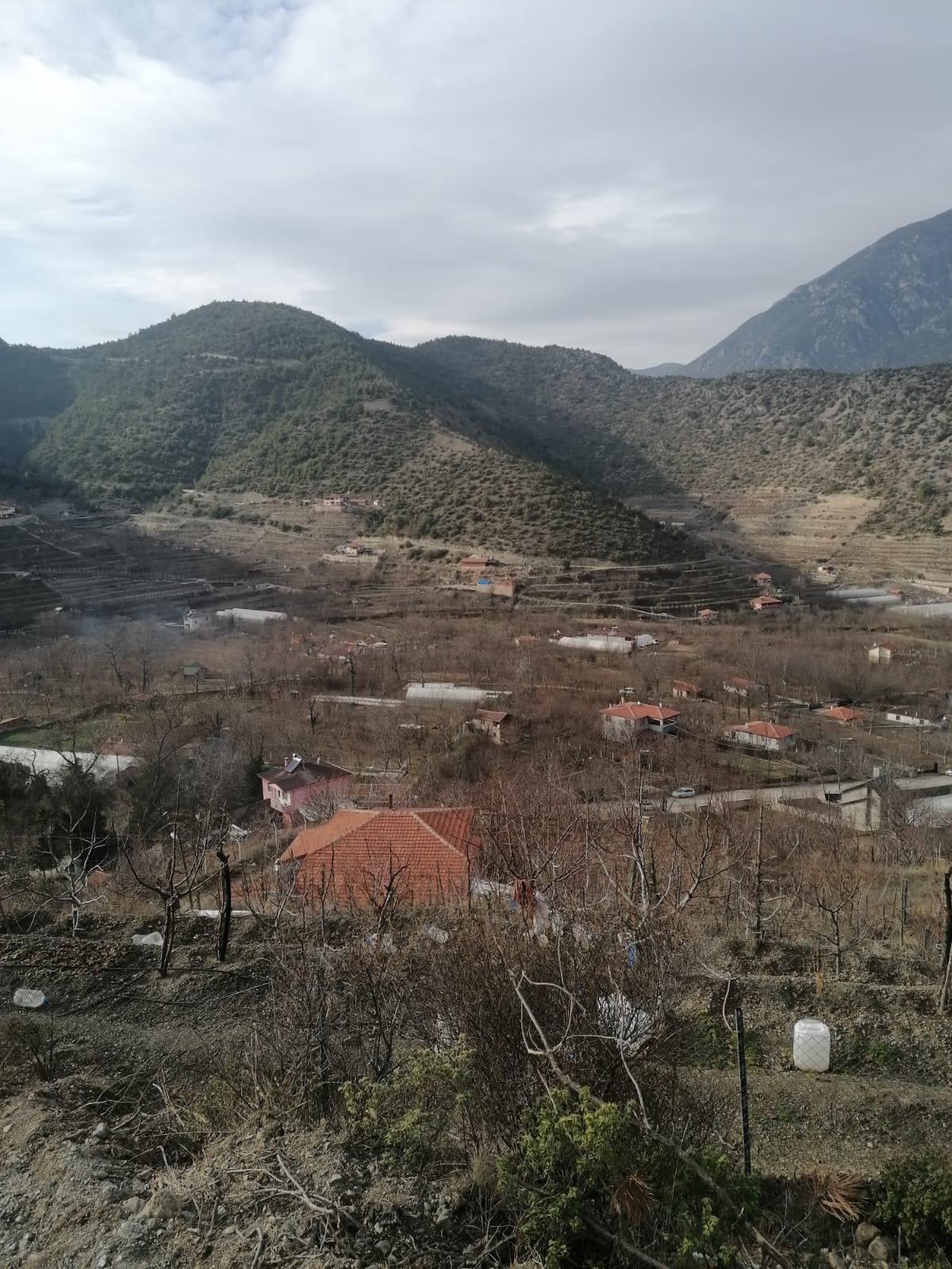 MARKA'DAN YENİCENİN EN GÜZEL YERİNDE SATILIK BAHÇE