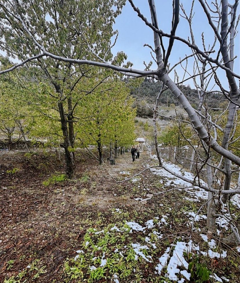 YENİCE'DE KELEPİR!! BAHÇE 710 m2 MÜSTAKİL TAPU, ÇİFT CEPHE YOL