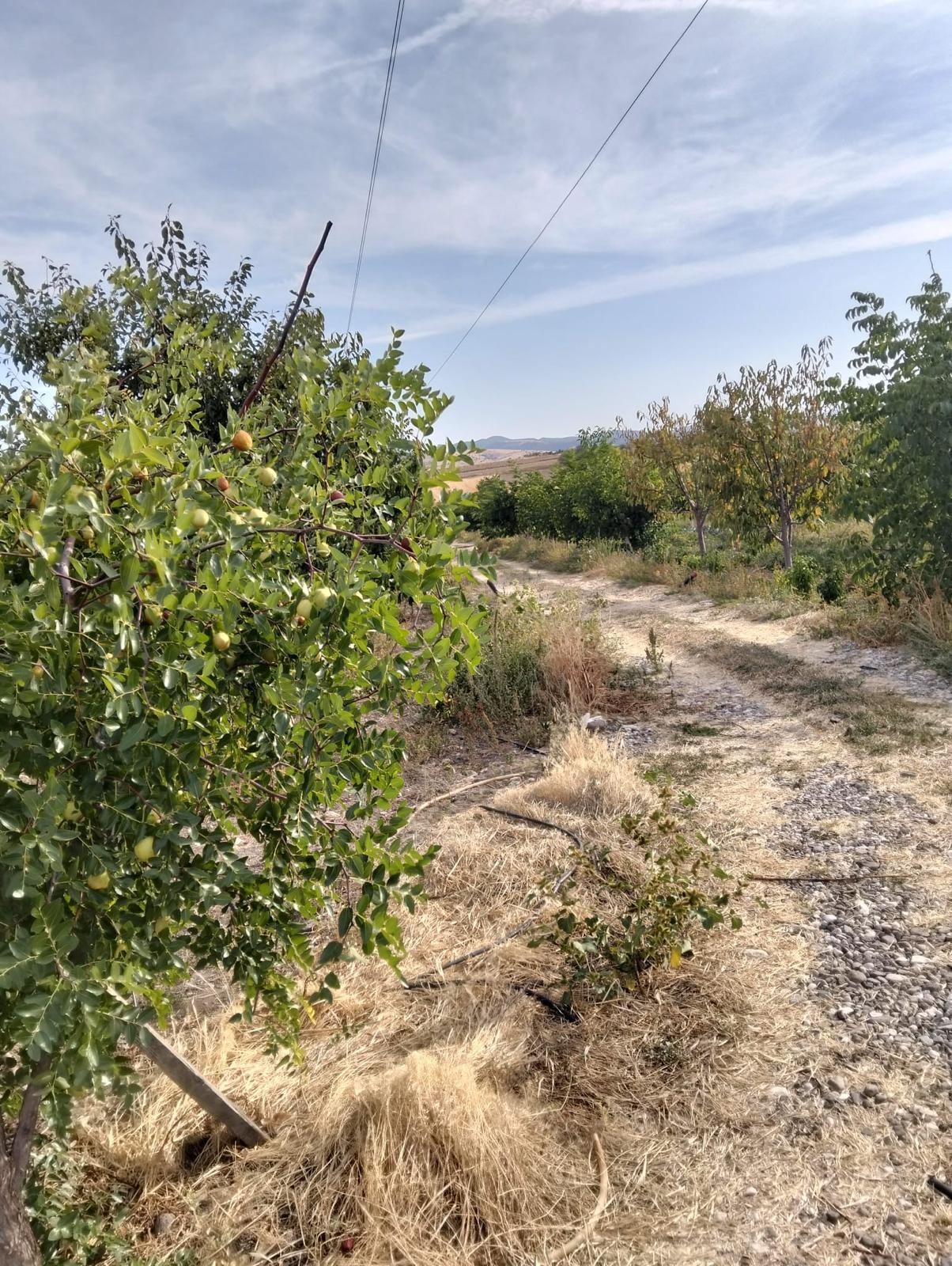 MARKA'DAN GEDİKSARAY GİRİŞİNDE MUHTEŞEM ARSA