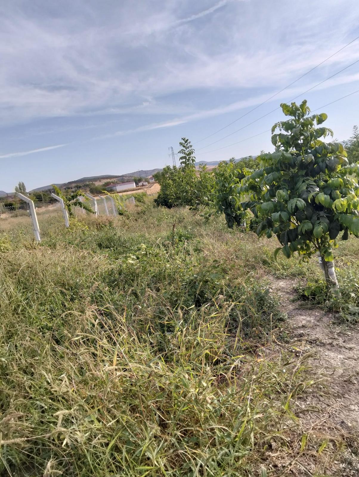 MARKA'DAN GEDİKSARAY GİRİŞİNDE MUHTEŞEM ARSA