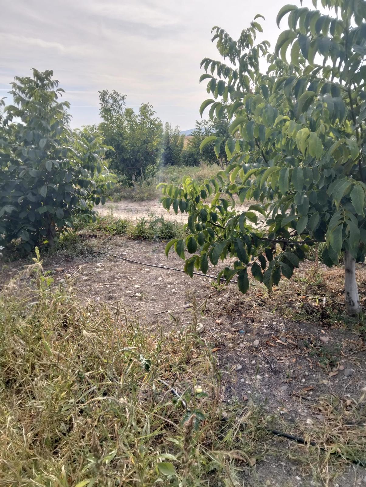 MARKA'DAN GEDİKSARAY GİRİŞİNDE MUHTEŞEM ARSA