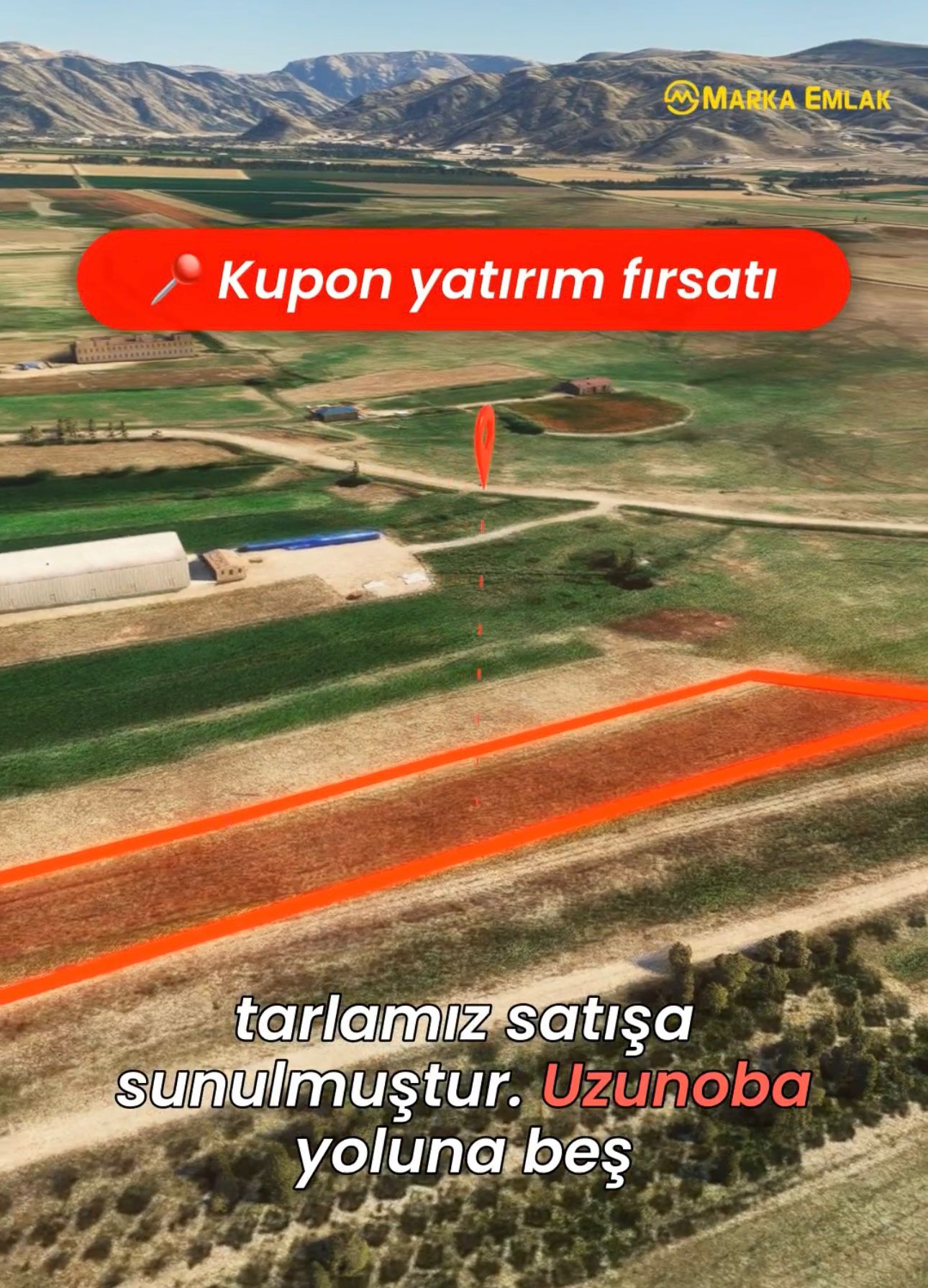 MARKA'DAN ACİL KELEPİR YER!!!