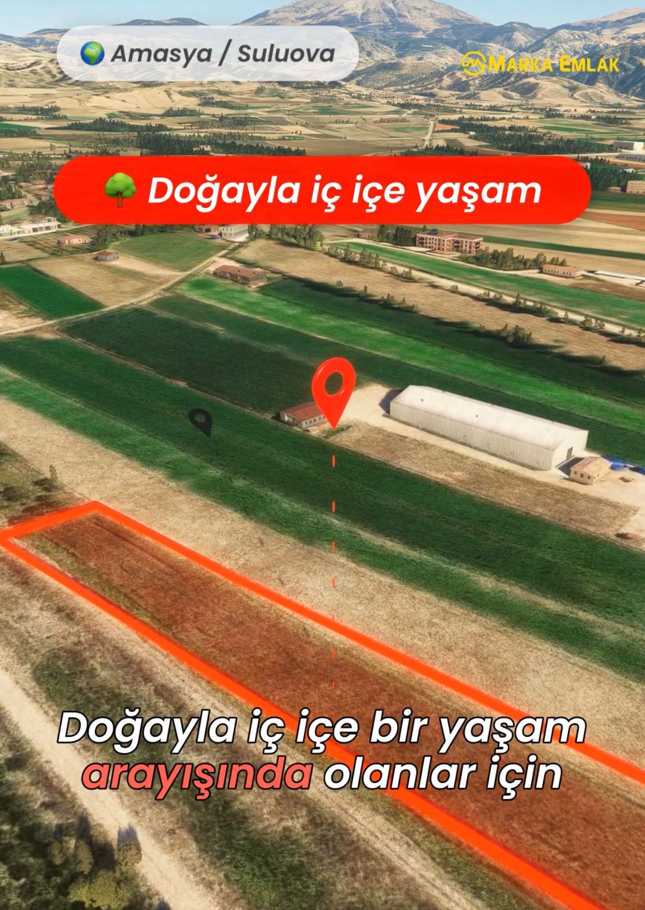 MARKA'DAN ACİL KELEPİR YER!!!