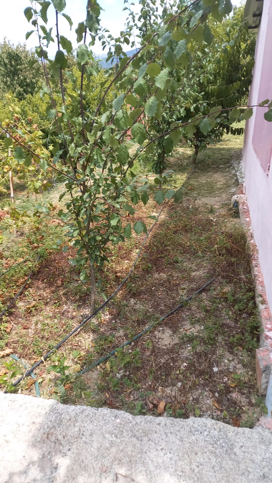 MARKA'DAN BELMEBÜK MEVKİİNDE SATILIK BAĞ & EV