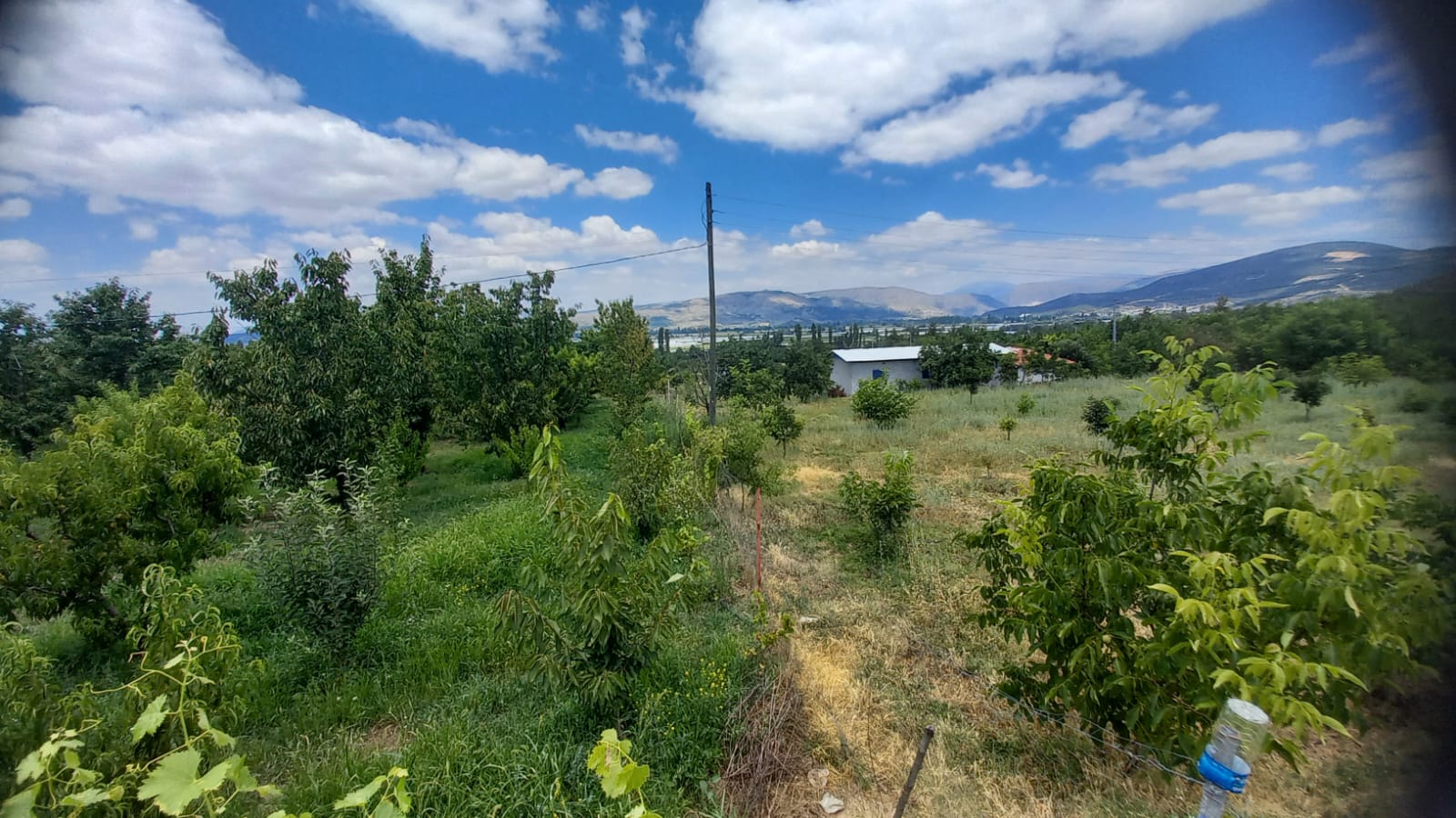 MARKA'DAN BELMEBÜK MEVKİİNDE SATILIK BAĞ & EV