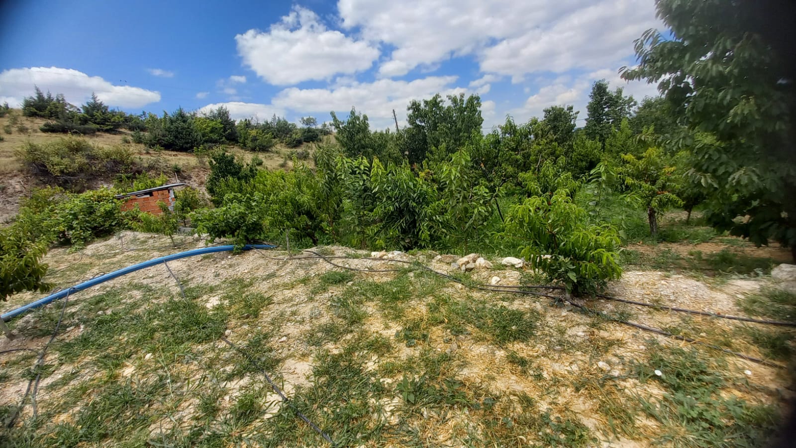 MARKA'DAN BELMEBÜK MEVKİİNDE SATILIK BAĞ & EV