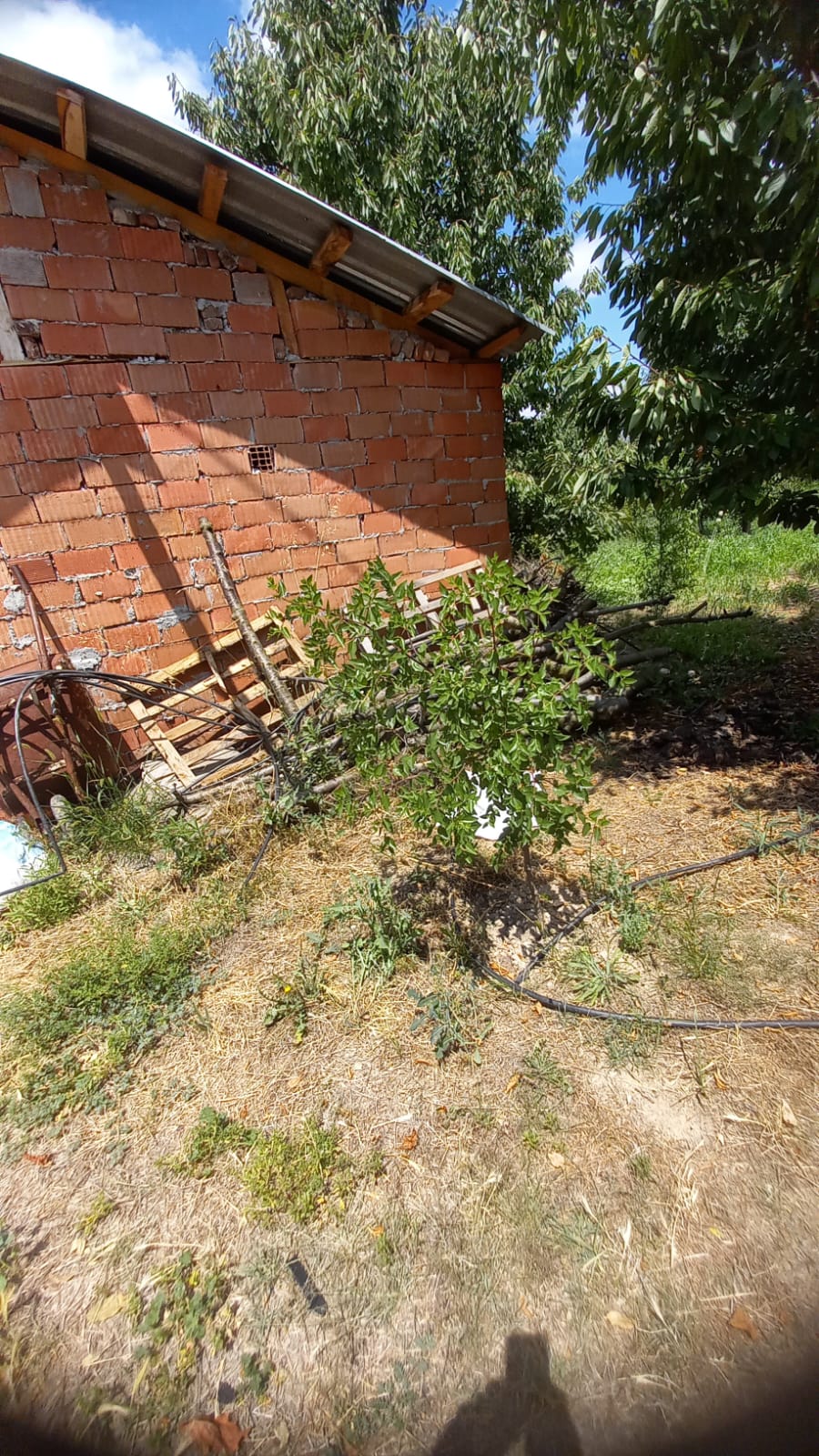 MARKA'DAN BELMEBÜK MEVKİİNDE SATILIK BAĞ & EV