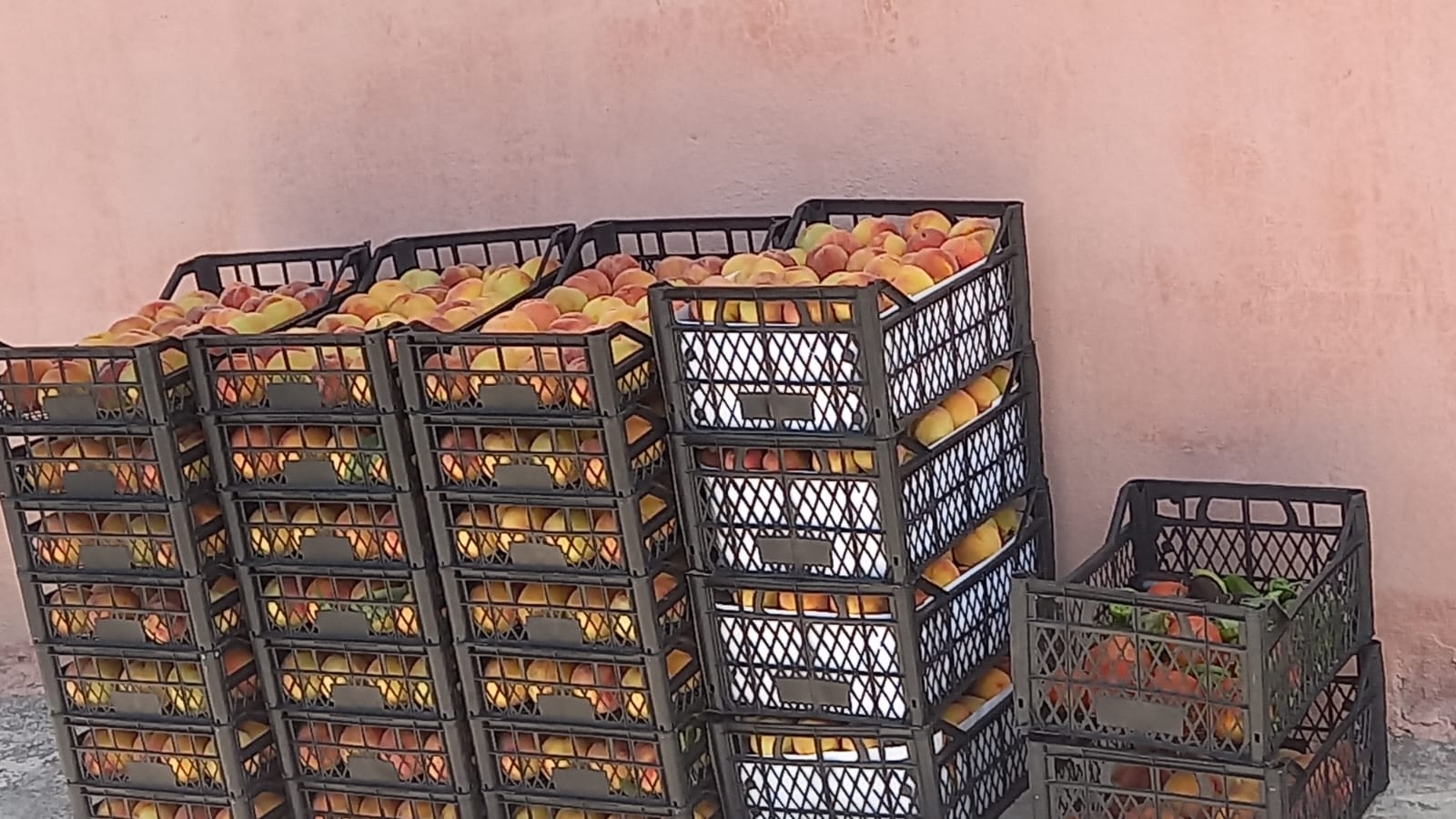 MARKA'DAN BELMEBÜK MEVKİİNDE SATILIK BAĞ & EV